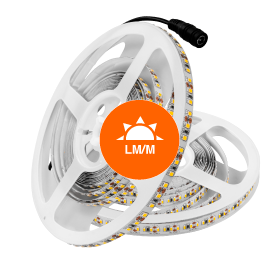 Illuminazione - Strisce LED - Strisce LED Flessibili - 2001 - 3000 Lm / Metro
