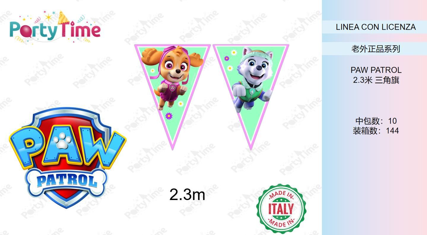 FESTONE CARTA BANDIERINE TRIANGOLARI PAW PATROL SKYE AND EVEREST